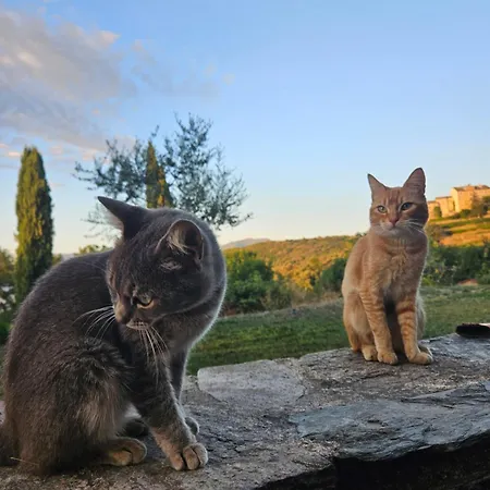 A Casa Di A *